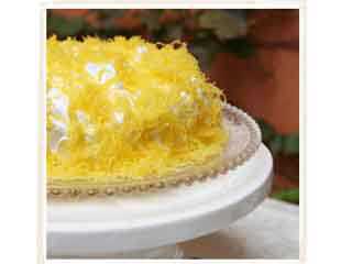 Amor aos Pedaços - Jardim Guedala